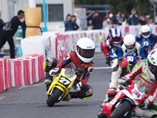 IMGP7734